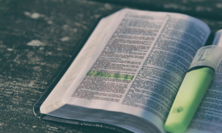 ¿Los 12? ¿O los 120?